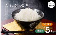 令和8年産【無洗米】新潟県産 こしいぶき 5kg