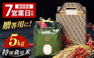 [黒箱]とくべつ の中の とくべつ 特別栽培米 夢つくし 5kg [築上町] / itoshimacco / 株式会社やました [ABEX005-2]