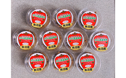 魚沼産 ひでこかあちゃんのかぐら南蛮味噌 みそ  2661792 - 新潟県魚沼市