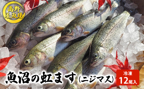 魚沼の虹ます （ニジマス） 冷凍12尾入 （ 虹ます にじます ニジマス 虹鱒 マス ます 鱒 魚 川魚 小分け 海鮮 魚介 魚介類 魚沼 ） 魚貝類  2661799 - 新潟県魚沼市