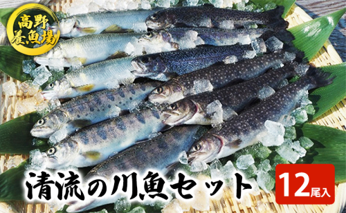 清流の川魚 セット 12尾入(ヤマメ・イワナ・ニジマス・アユ)魚12尾 ヤマメ イワナ ニジマス アユ 山女 岩魚 虹ます 虹鱒 鮎 マス ます 鱒 2661800 - 新潟県魚沼市