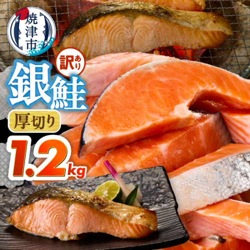 a10-1310　厚切りカット！ 訳あり 銀鮭 切身 約1.2kg 2662152 - 静岡県焼津市