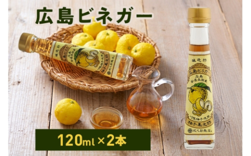 [No.5895-0731]広島ビネガー 2本 セット 川根柚子 柚子 酢 ビネガー 広島 安芸高田市 2662271 - 広島県安芸高田市