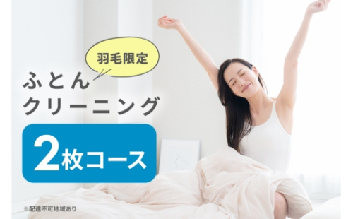[No.5895-0591]ふとんクリーニング 2枚 （羽毛限定） 2662294 - 広島県安芸高田市