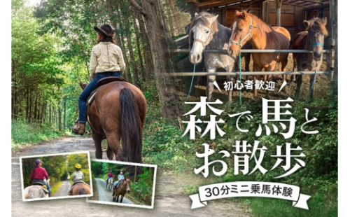 [No.5895-0762]初心者歓迎 森の中を馬に乗ってお散歩プラン(30分)  外乗 体験 広島 安芸高田市 エオの谷 2662298 - 広島県安芸高田市