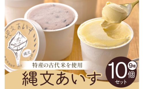 [No.5895-0192]縄文あいす10個セット 菓子／アイス デザート スイーツ  2662299 - 広島県安芸高田市