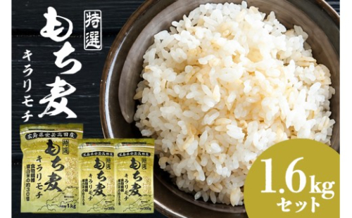 [No.5895-0269]広島県安芸高田産特選もち麦キラリモチ1.6kgセット もち麦 国産 キラリモチ 特選 1.6kg セット 安心 安全  炊飯 食物繊維 大粒 栄養価 ぷりぷり 大麦 米 もち麦ごはん ゆでもち麦 広島 安芸高田 2662403 - 広島県安芸高田市