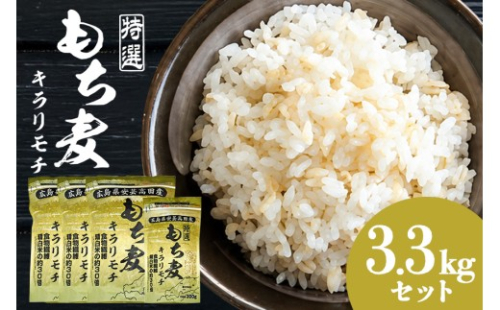 [No.5895-0270]広島県安芸高田産特選もち麦キラリモチ3.3kgセット もち麦 国産 キラリモチ 特選 3.3kg セット 安心 安全 炊飯 食物繊維 大粒 栄養価 ぷりぷり 大麦 米 もち麦ごはん ゆでもち麦 広島 安芸高田 2662404 - 広島県安芸高田市