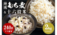 [No.5895-0558]もち麦 国産 キラリモチ 特選もち麦 2kg + 十六穀米 国産 240g セット 広島県安芸高田産 安心 安全 炊飯 食物繊維 大粒 栄養価 ぷりぷり 大麦 米 雑穀 もち麦ごはん ゆでもち麦 広島 安芸高田