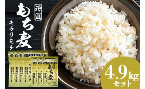[No.5895-0559]もち麦 国産 キラリモチ 特選もち麦 4.9kg セット 広島県安芸高田産 安心 安全 炊飯 食物繊維 大粒 栄養価 ぷりぷり 大麦 米 もち麦ごはん ゆでもち麦 広島 安芸高田 2662407 - 広島県安芸高田市
