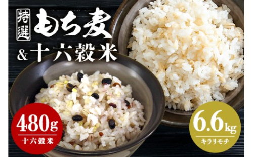[No.5895-0645]広島県安芸高田産 特選もち麦 キラリモチ 6.6kg + 国内産十六穀米 480g セット 国産 安心 安全 炊飯 食物繊維 大粒 栄養価 ぷりぷり 大麦 米 雑穀 もち麦ごはん ゆでもち麦 広島 安芸高田 2662409 - 広島県安芸高田市