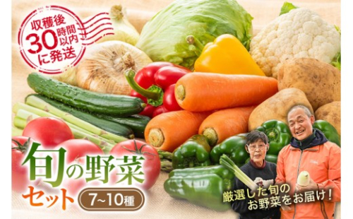 [No.5895-0194]安芸高田市の小さな農家がお届けするふるさと旬野菜セット 2662454 - 広島県安芸高田市