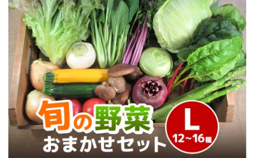 [No.5895-0458]旬の野菜【L】セット【配達不可：北海道・沖縄・離島】 2662490 - 広島県安芸高田市