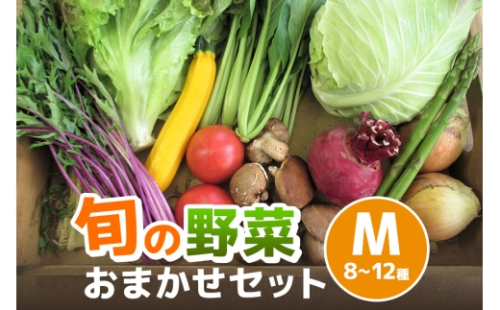 [No.5895-0459]旬の野菜【M】セット【配達不可：北海道・沖縄・離島】 2662501 - 広島県安芸高田市