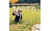 ＜5年連続特Aランク獲得＞令和7年産　原田農園きぬむすめ精米 5kg【1723123】