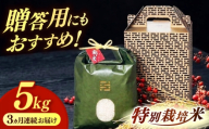 [黒箱][全3回定期便]とくべつの中のとくべつ 特別栽培米 夢つくし 5kg [築上町] / itoshimacco / 株式会社やました [ABEX006-2]