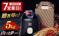 [黒箱]農薬 を使わずに育てた 山つき 夢つくし 5kg[築上町] / itoshimacco / 株式会社やました [ABEX013-2]