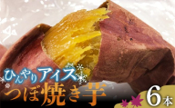爆甘！甘みと風味が凝縮 ひんやりアイスつぼ焼き芋 6本 やきいも おやつ デザート スイーツ 福島県 白河市 F25R-159