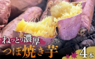 爆甘！甘みと風味が凝縮 ねっとり濃厚つぼ焼き芋 4本 やきいも おやつ デザート スイーツ 福島県 白河市 F25R-161