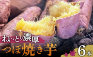 爆甘！甘みと風味が凝縮 ねっとり濃厚つぼ焼き芋 6本 やきいも おやつ デザート スイーツ 福島県 白河市 F25R-162