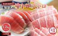 青森県深浦町産 天然本マグロ 中トロ 大トロ 1.2kg 各600g 食べ比べ 冷凍柵 深浦マグロ 刺身 海鮮 鮪 まぐろ【fu-0015-026_11】