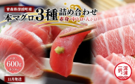 青森県深浦町産 天然本マグロ 3種食べ比べ 600g 各200g 赤身 中トロ 大トロ 冷凍柵 深浦マグロ 刺身 海鮮 鮪 まぐろ【fu-0015-027_11】