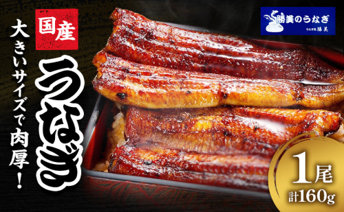 国産 うなぎ 蒲焼 1尾 (約160g×1尾 タレ75ml×1本 山椒×1袋) 鰻 国産 浜松うなぎ 浜名湖うなぎ 蒲焼き プレゼント 贈答 浜名湖 産地直送 冷凍 冷凍配送 静岡 浜松市 2662827 - 静岡県浜松市