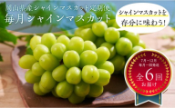 岡山県産 シャインマスカット 【定期便】｜毎月シャインマスカット（全6回お届け）