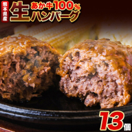 熊本県産あか牛100%生ハンバーグ 140g×13個入り 《30日以内に出荷予定(土日祝除く)》合計1820g 1.82kg以上熊本県産あか牛 バイキングベーカリー 冷凍