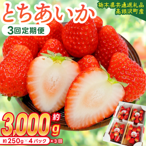 【先行予約】【3回定期便】栃木県産 とちあいか 合計3,000g (250g以上×4パック×3回) 農家直送 家庭用 和饗エコファーム【栃木県共通返礼品/高根沢町産】｜定期便 栃木県 ふるさと納税 いちご イチゴ 苺 旬 果物 フルーツ とちあいか(DW002) 2663013 - 栃木県益子町