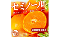 ［先行予約］［ご家庭用訳あり］ジューシー柑橘 セミノールオレンジ 5kg［UT150］