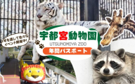 宇都宮動物園 年間パスポート 大人(中学生〜)1名様分 | 栃木県 宇都宮市 動物園 どうぶつえん 年パス 施設利用券