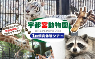 1日飼育体験(獣医師体験含む)ツアー | 宇都宮動物園 動物園 どうぶつえん 獣医師体験 栃木県 宇都宮市
