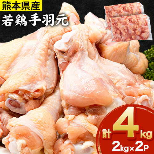 熊本県産 若鶏手羽元 約4kg 2kg×2P 《30日以内に出荷予定(土日祝除く)》 熊本県 葦北郡 津奈木町 2663068 - 熊本県津奈木町