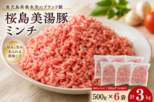 B2-0408／桜島美湯豚 ミンチ 500g×6P (計3kg)
 2663216 - 鹿児島県垂水市