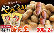 殻付き 落花生 合計約600g（300g×2袋） ピーナツ おつまみ 大村市 浦川豆店 [ACZR018]
