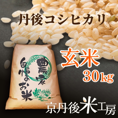 2026年産　京丹後産コシヒカリ 玄米30kg 2663453 - 京都府京丹後市