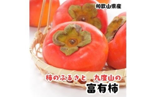 ［秋の美味］［九度山ブランド］柿のふるさと九度山の濃厚 富有柿 秀品 24～32玉(約7.5kg入り)　3L～Lサイズ（いずれか） ［MS152］ 2663454 - 和歌山県那智勝浦町