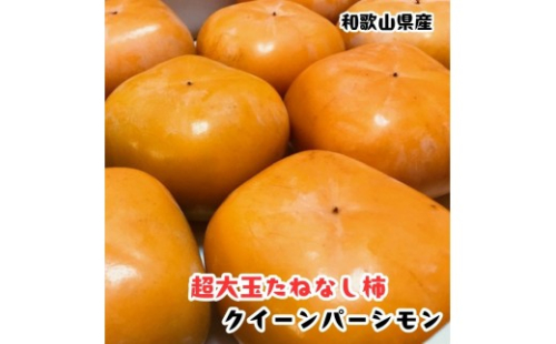 ［柿のふるさと］とっても大きいサイズのたねなし柿 クイーンパーシモン 約4kg 4L～7Lサイズ 青秀以上 ［MS153］ 2663455 - 和歌山県那智勝浦町