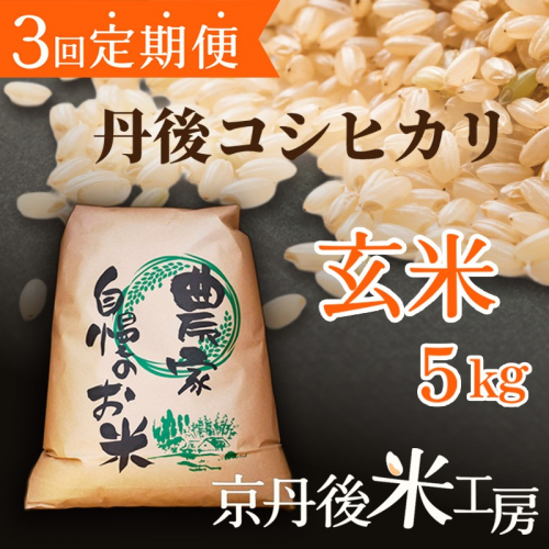2026年産　京丹後産コシヒカリ 玄米5kg　3回定期便 2663456 - 京都府京丹後市