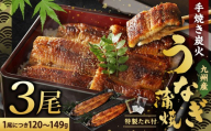 【土用の丑の日にお届け】九州産 手焼き 炭火 うなぎ 蒲焼 3尾 計360g以上 (1尾あたり120～149g)