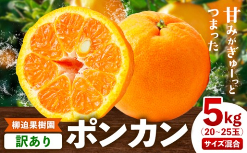 訳あり ポンカン 5kg 20-25玉 サイズ混合《2月中旬-3月中旬頃出荷》熊本県 葦北郡 津奈木町 ポンカン みかん 柑橘 送料無料 2663876 - 熊本県津奈木町