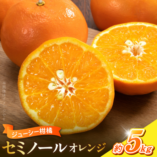 【2027年先行予約】ジューシー柑橘 セミノールオレンジ 約5kg_G7373 2663878 - 和歌山県湯浅町