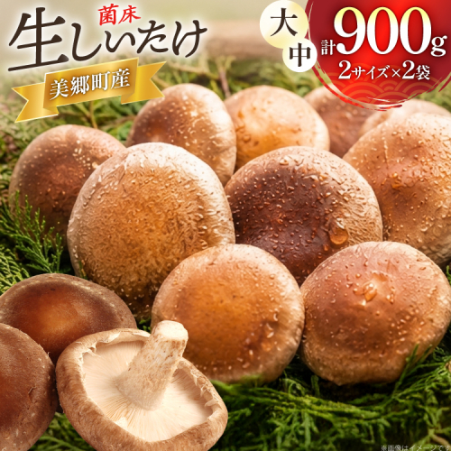 生しいたけ セット 約300g× 2袋 約150g× 2袋 計4袋 約900g [杉本きのこ園 宮崎県 美郷町 31bs0001] 菌床 椎茸 しいたけ シイタケ きのこ キノコ お鍋 天ぷら 炒め物 おかず 2663880 - 宮崎県美郷町
