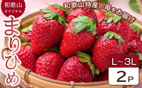 [先行予約] 和歌山県 オリジナル まりひめ イチゴ 2パック入り（3L～L寸） 2663925 - 和歌山県那智勝浦町