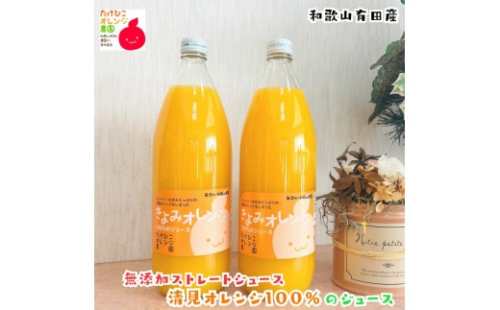 【数量限定】清見オレンジ100%のジュース(無添加ストレート)　1,000ml×2本セット ［MS159］ 2663926 - 和歌山県那智勝浦町