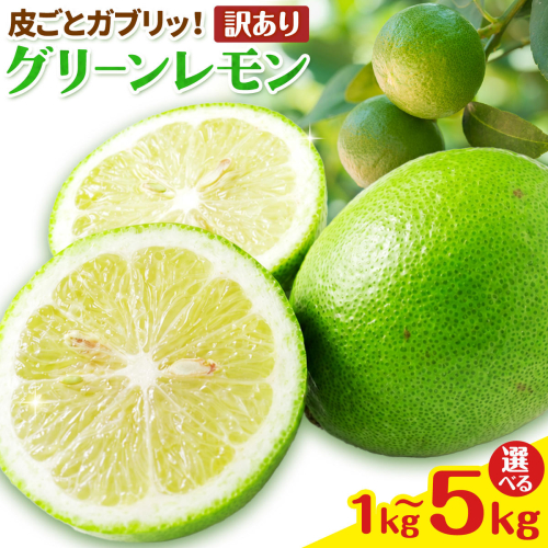 【先行予約】皮ごとガブリ！ 三ツ山 グリーン レモン 訳あり 選べる 1kg 3kg 5kg 三ツ山レモンファーム《9月下旬-3月中旬頃出荷》岡山県 浅口市 れもん 檸檬 防腐剤不使用 ワックス不使用 送料無料 2664036 - 岡山県浅口市