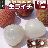 都城産生ライチ『初恋の真珠』お徳用1kgパック