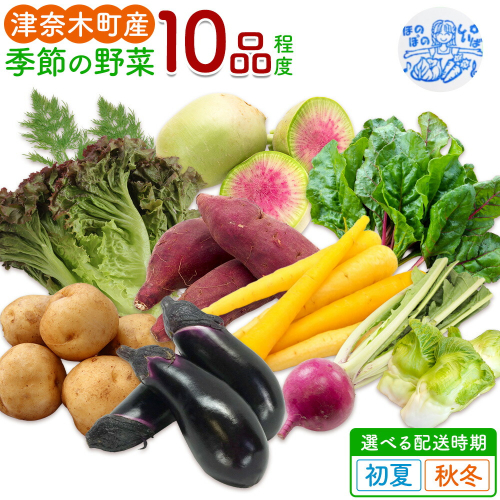 野菜 季節の野菜 10品 詰め合わせ セット ほのぼのしいば農園《出荷時期をお選びください》熊本県 葦北郡 津奈木町 野菜 野菜セット 詰合せ 旬 国産 送料無料 サラダ 健康 料理 自炊 ナス ピーマン 2664177 - 熊本県津奈木町