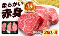 【希少部位！】博多和牛 シャトーブリアン 200g×3枚 （計600g）《築上町》【肉のくまもと屋】 [ABEZ018]